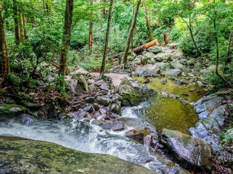 Where to Hike While Laurel Falls Trail Is Closed Where to Hike While Laurel Falls Trail Is Closed