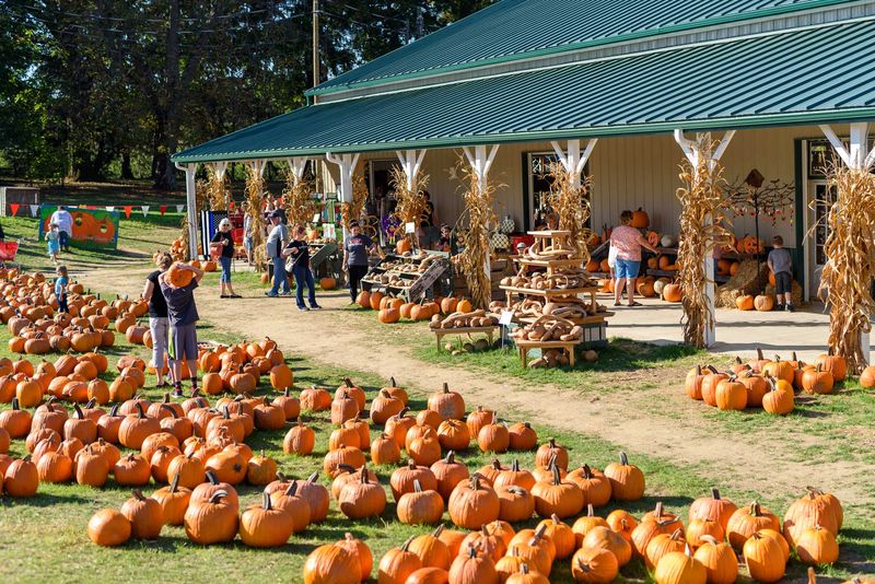 White House Fruit Farm, Canfield