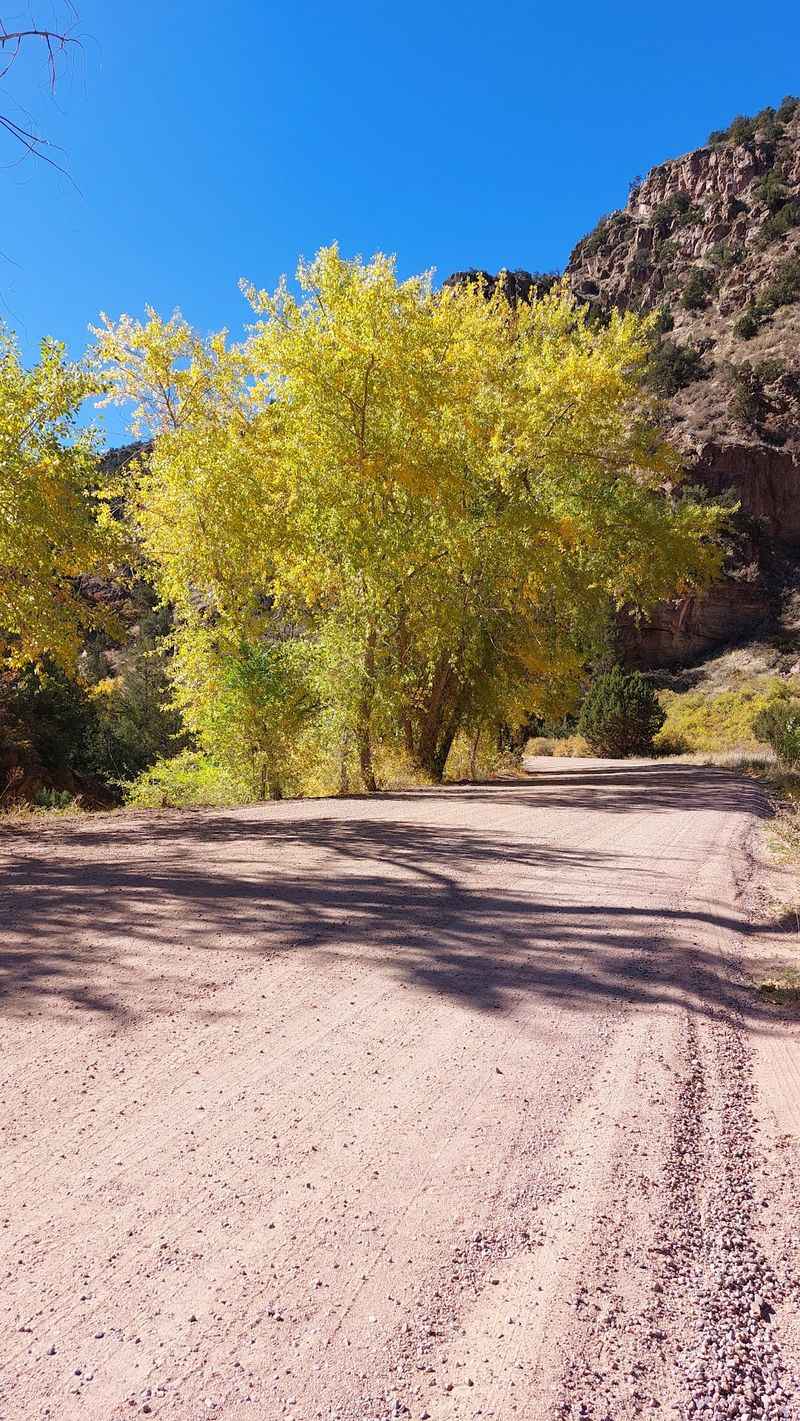 Who Will Love This Drive Most Who Will Love This Drive Most