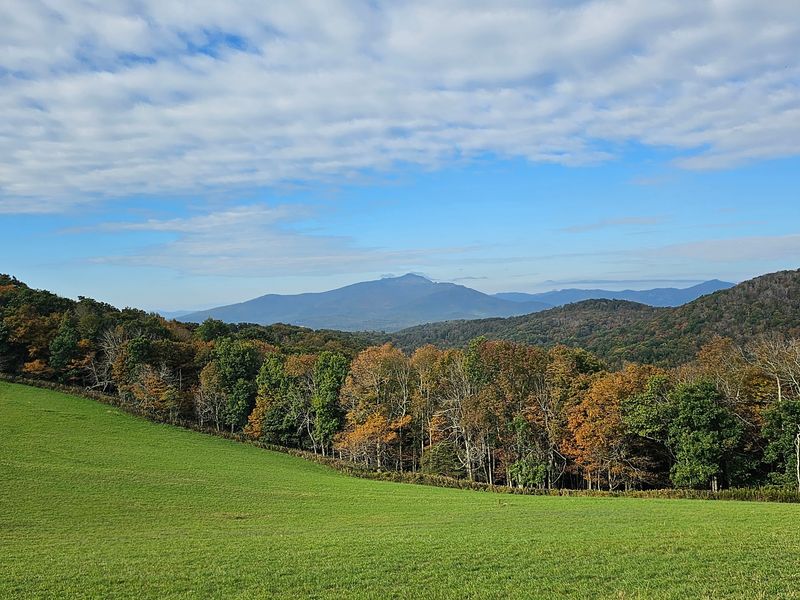 Why Fall and Rhododendron Season Shine