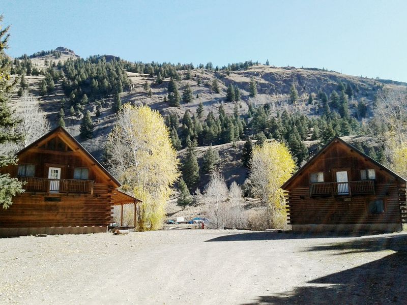 Why Life Moves Slower Here