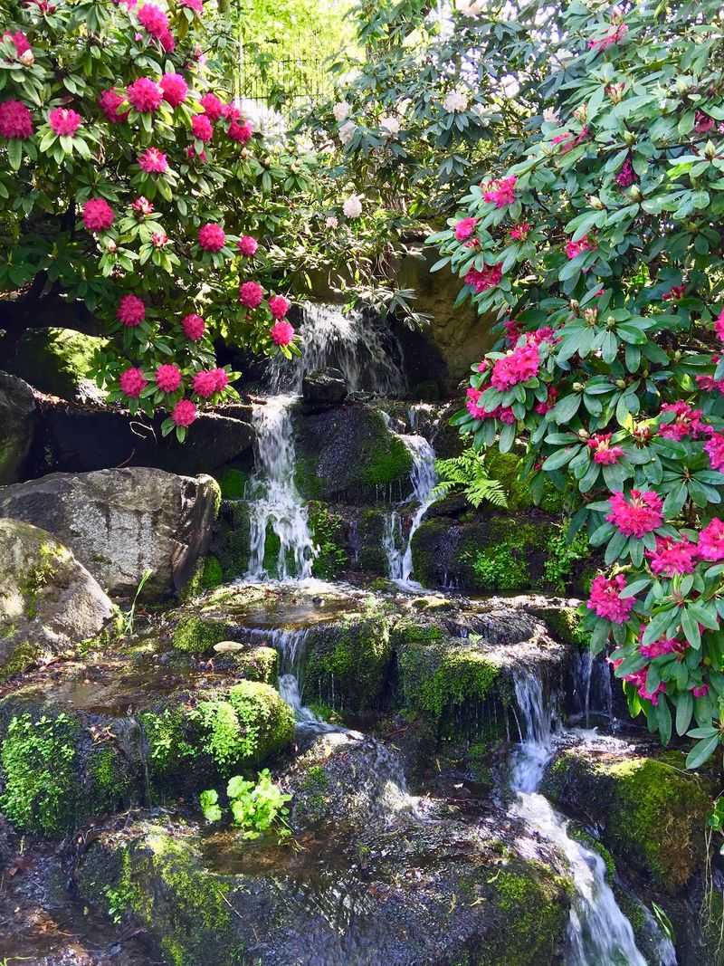 Why Spring Keeps Calling People Back