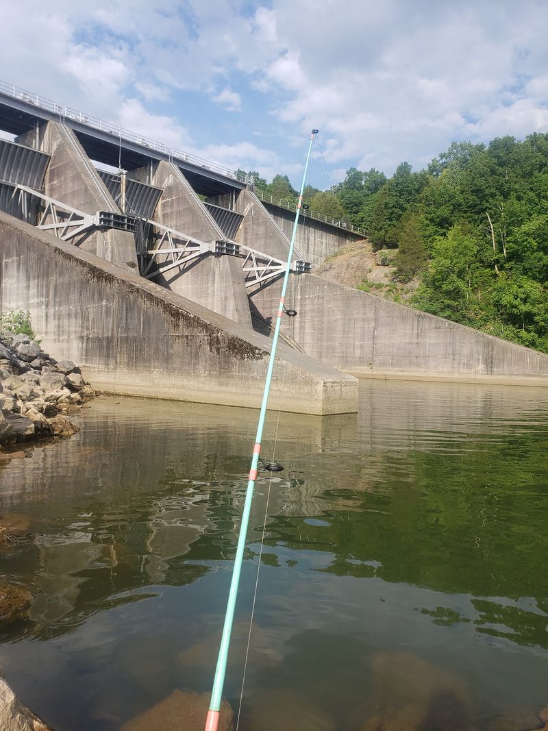 Why TVA Chose To Build Tellico Dam