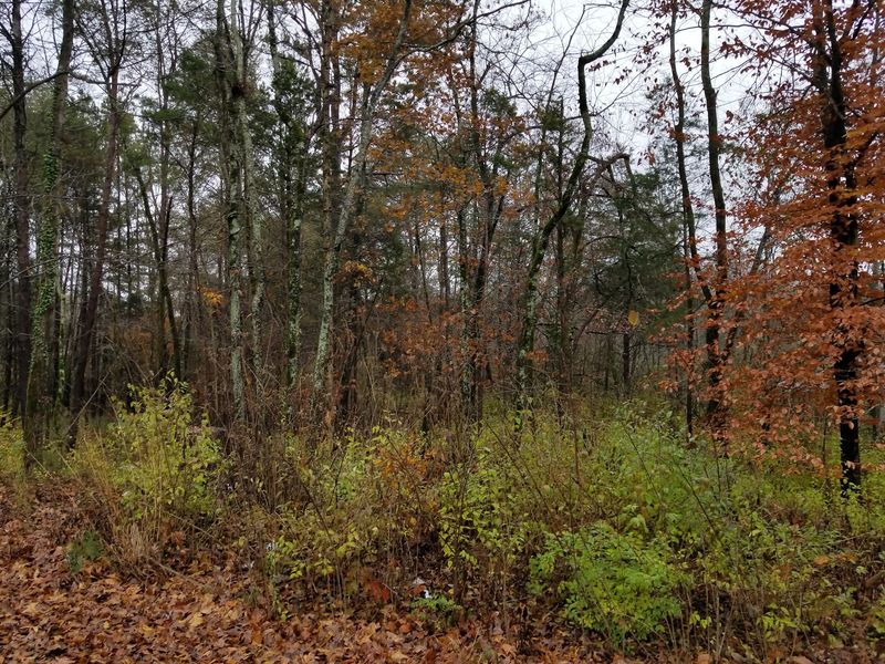 Why This 0.75-Mile Loop Is Worth Taking Slowly