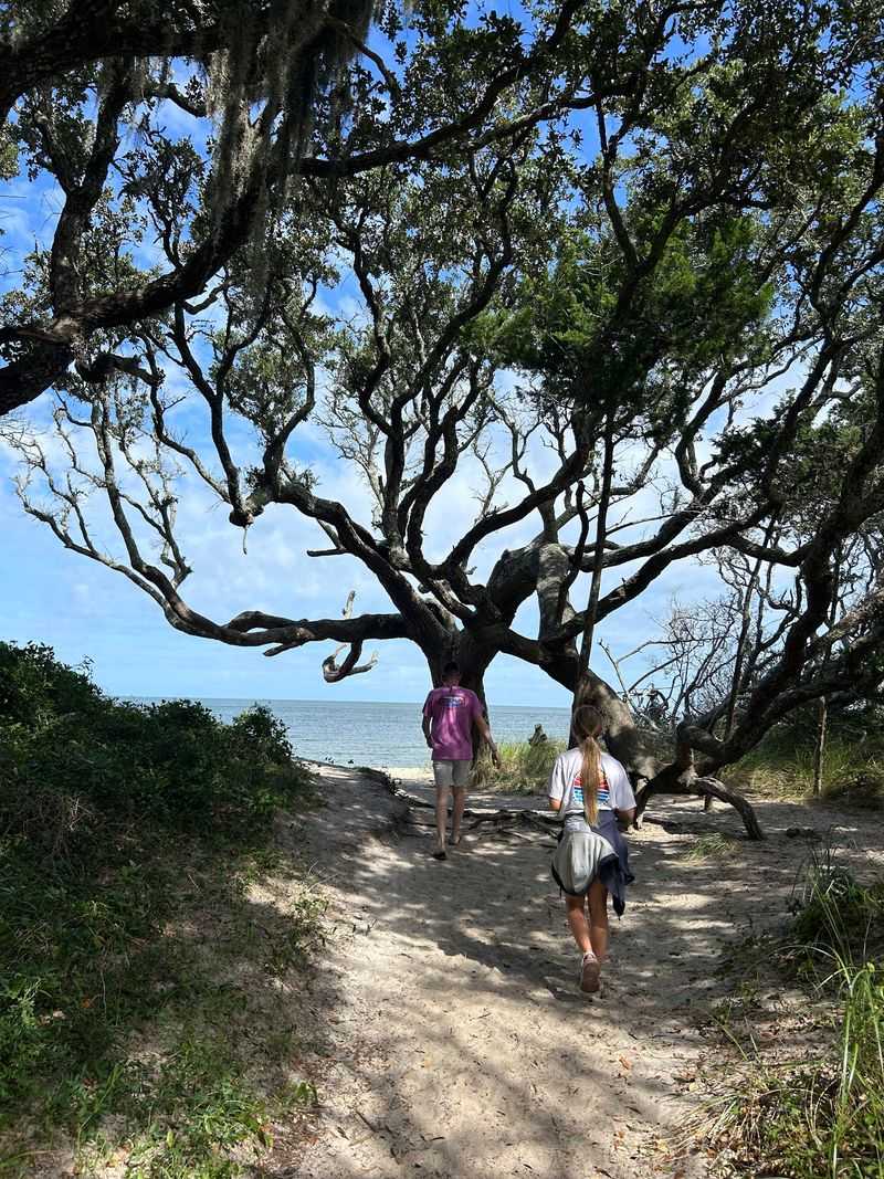Why This Walk Stays With You