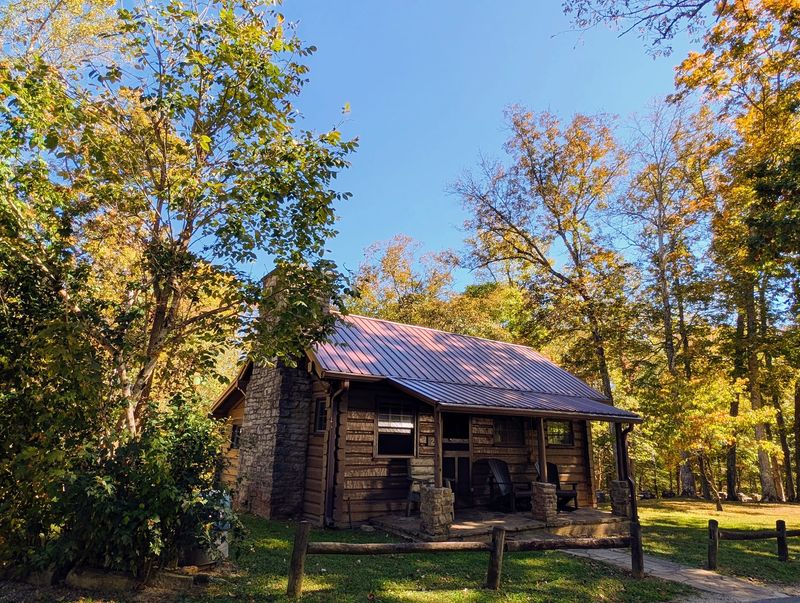 Wildlife, Forests and the Simple Beauty of the Cumberland Plateau Wildlife, Forests and the Simple Beauty of the Cumberland Plateau