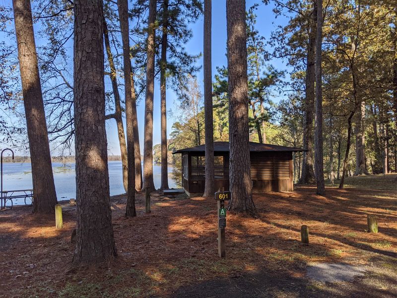 Wildlife Trail - Martin Dies, Jr. State Park (Jasper)