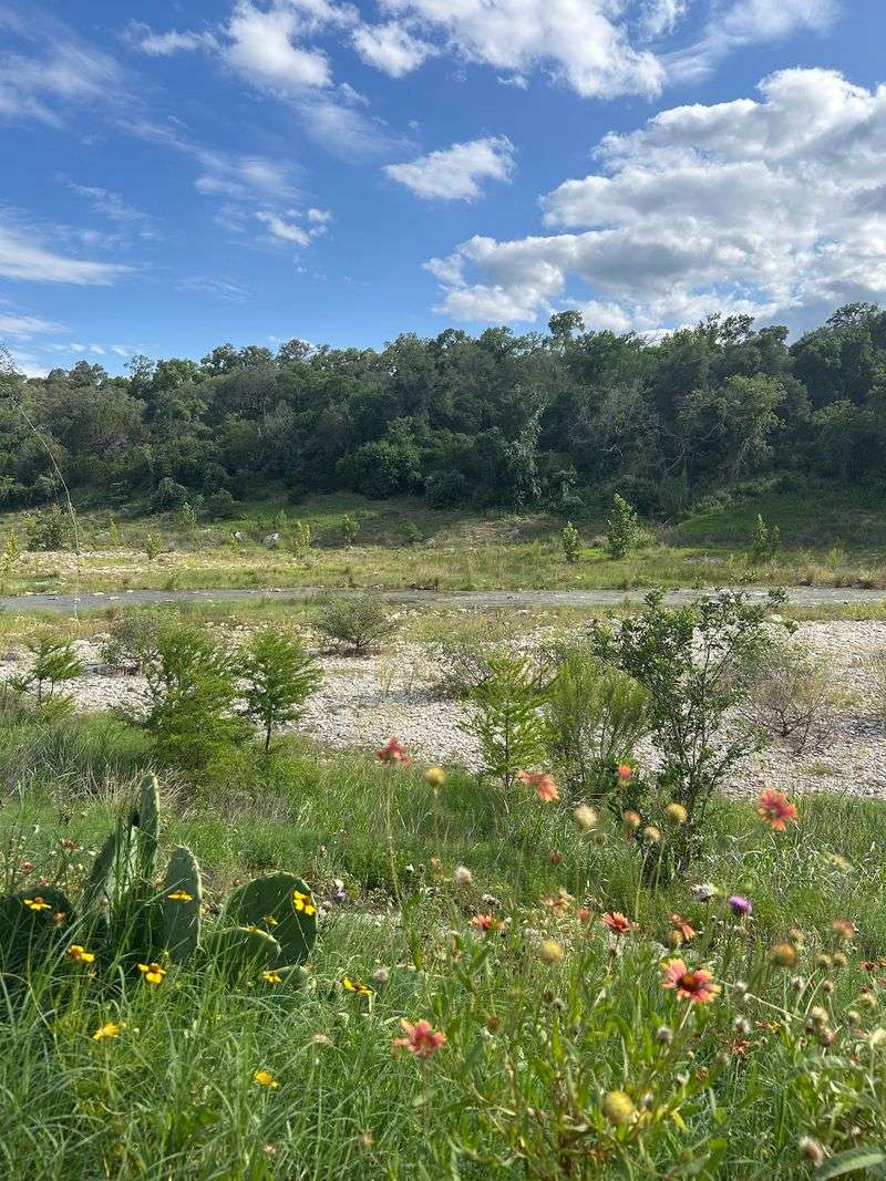 Wildlife, Wildflowers, and Texas Persimmons