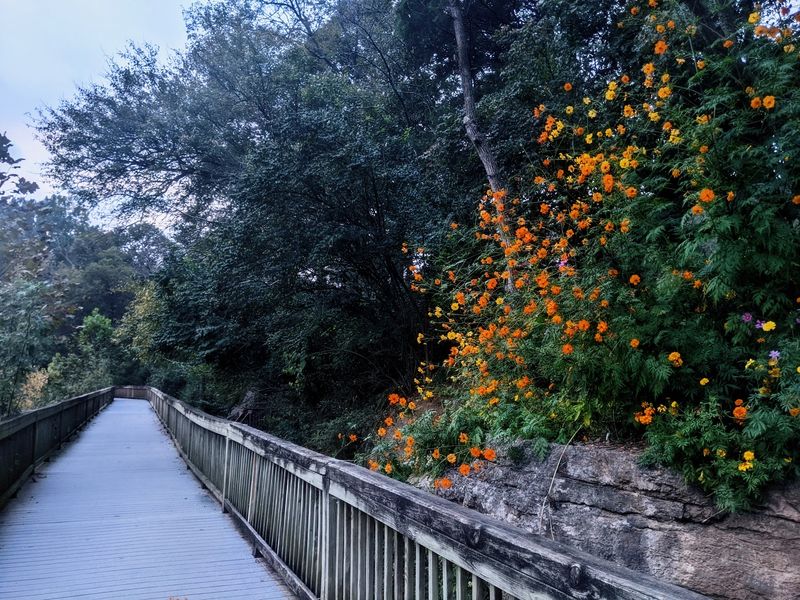 Wildlife and Nature You Might Spot Along the Way