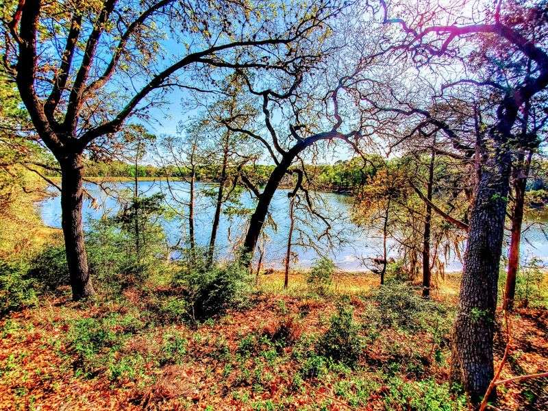 Winding Woodland Trail - Buescher State Park (Smithville)