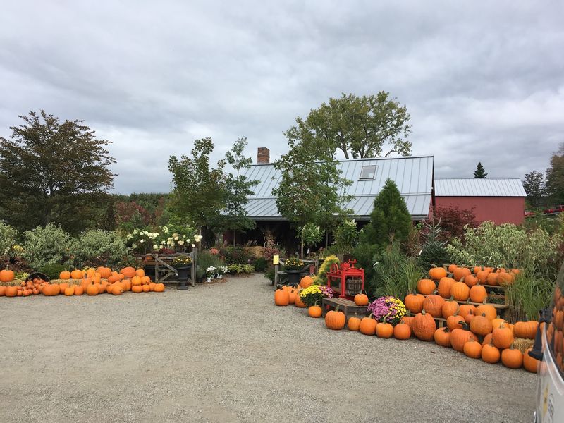 Windy Hill Farm: Build a Flexible Worthington Visit Windy Hill Farm: Build a Flexible Worthington Visit