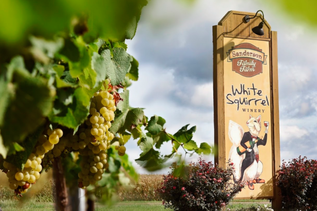 Wine Lovers, Don’t Miss These 10 Stunning Tennessee Wineries