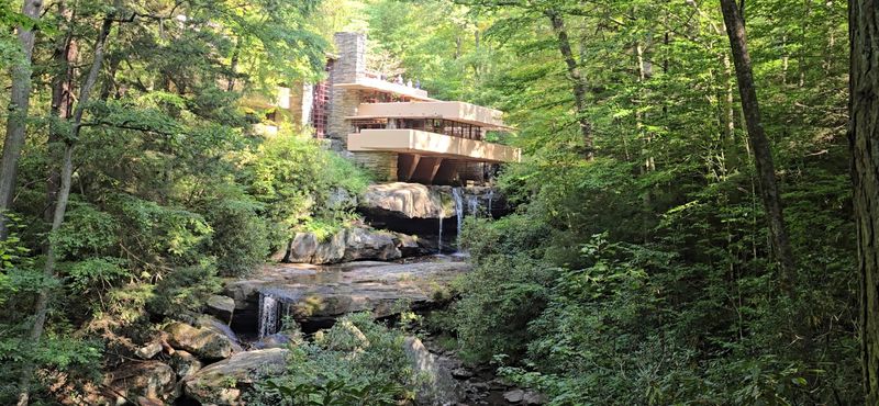 Woodland Views Worth Taking Slowly