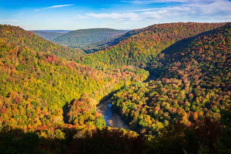 Worlds End State Park, Forksville