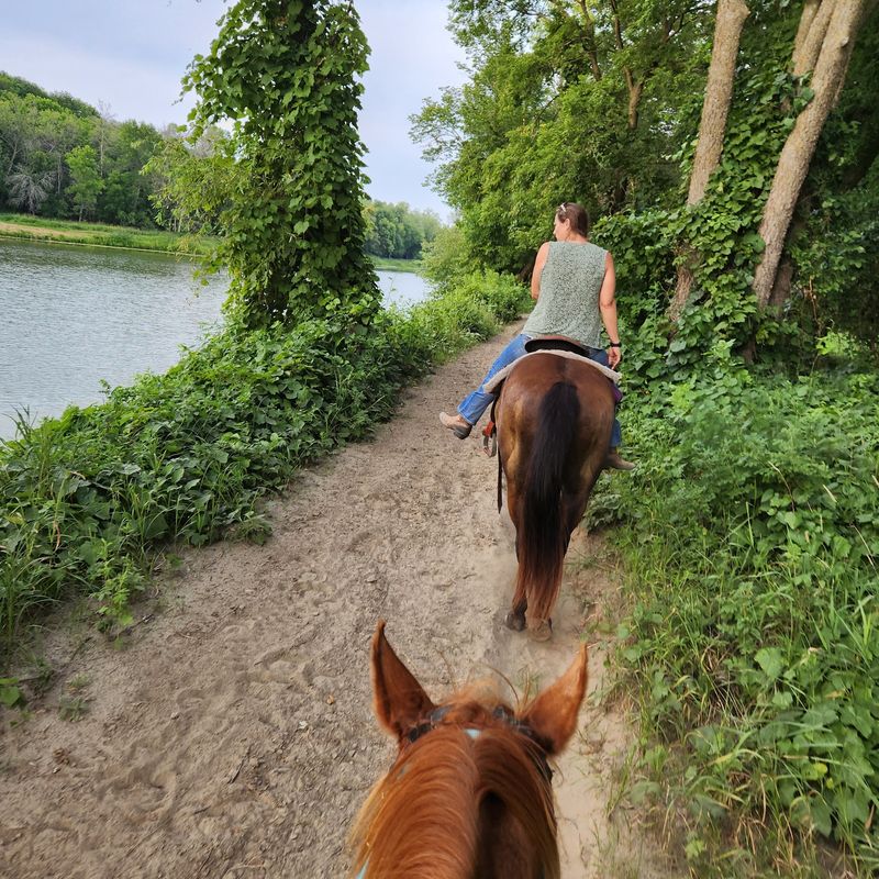 Worth Saddling Up For Worth Saddling Up For