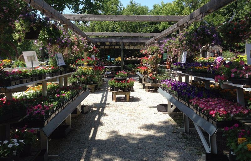 Perennials by the Wagonload