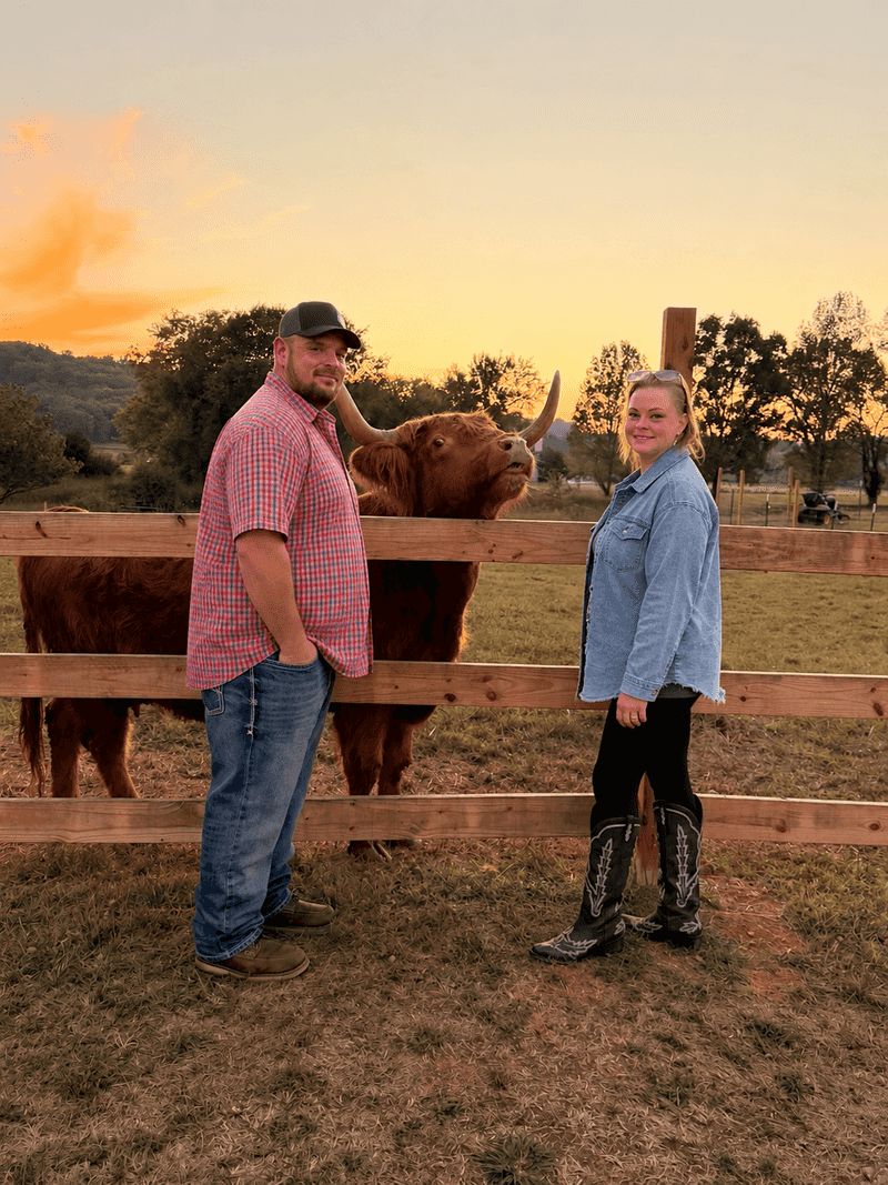 Capture Unforgettable Photos With The Cows
