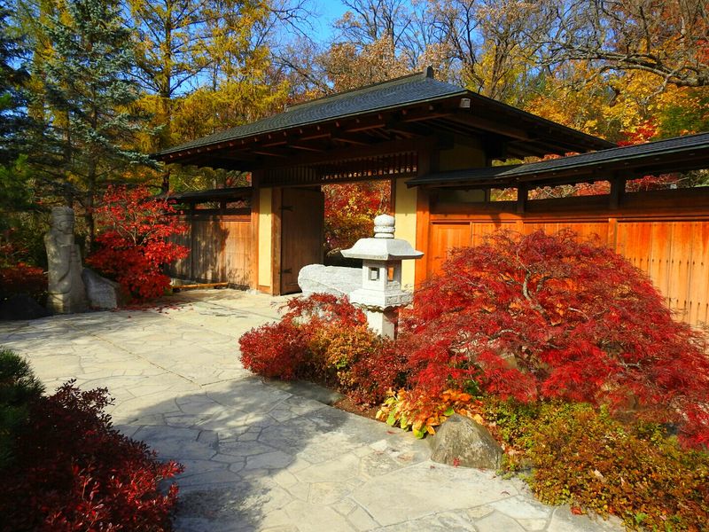 Anderson Japanese Gardens, Rockford, IL