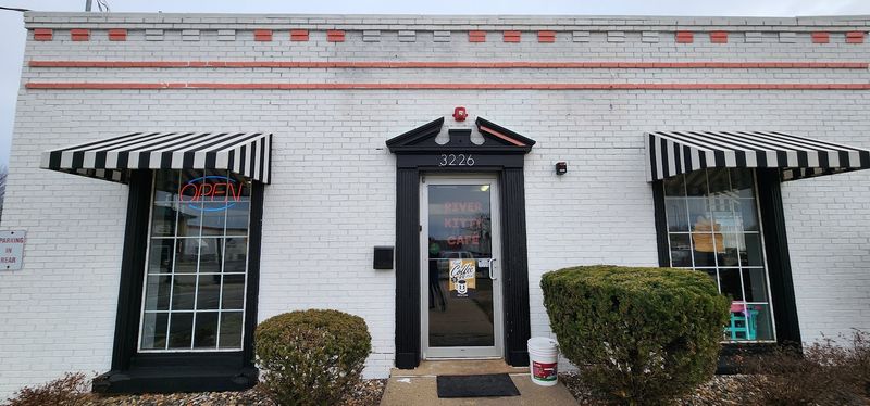 A Neighborhood Third Space With a Purr