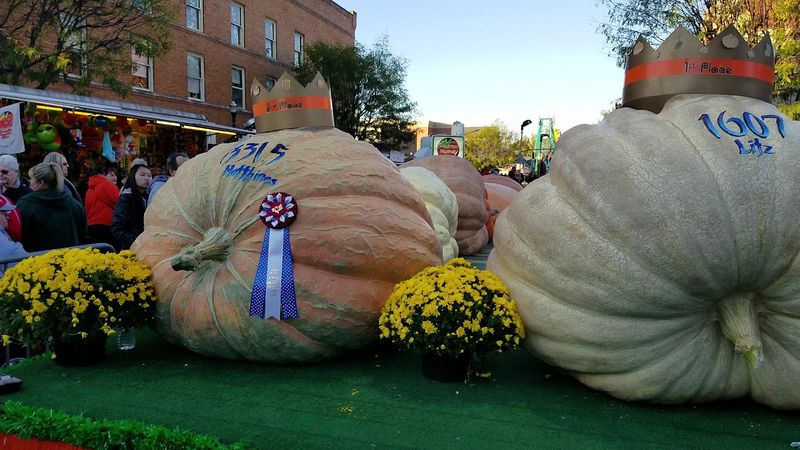 You Won't Believe How Much These Giant Pumpkins Weigh You Won't Believe How Much These Giant Pumpkins Weigh