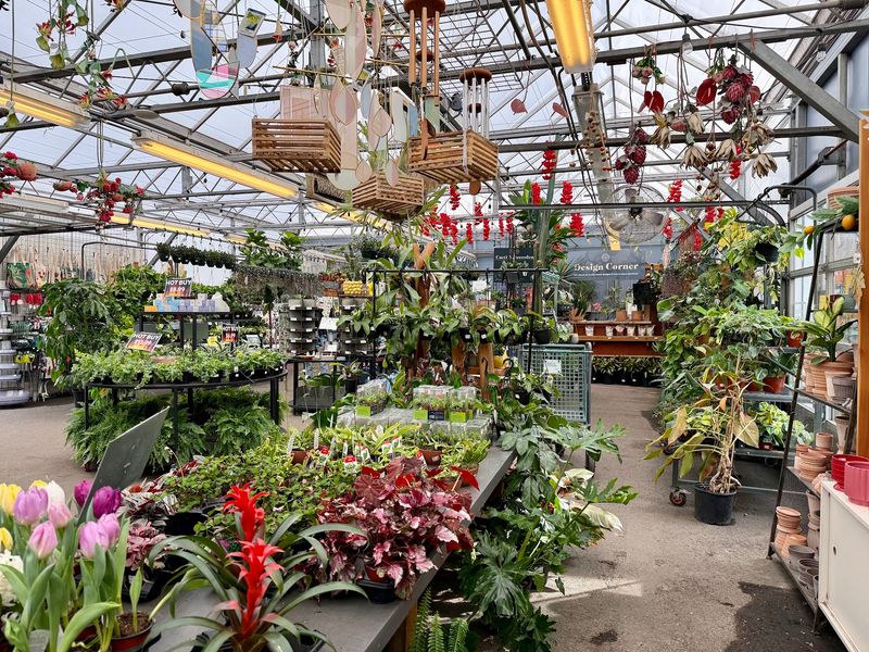 You'll Find More Than Just Plants and Pretty Pots You'll Find More Than Just Plants and Pretty Pots