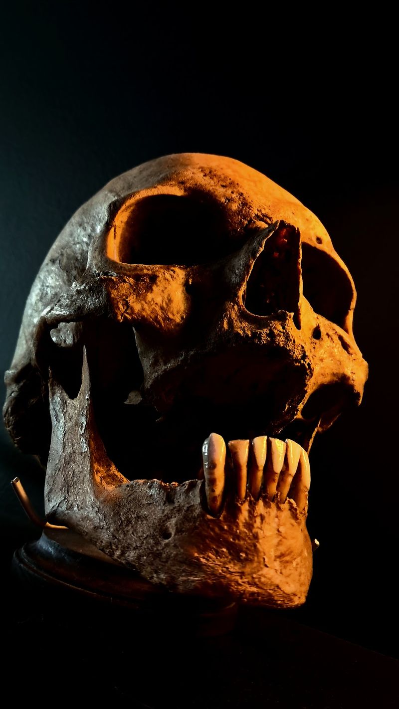 Your Hands Might Shake When They Pass You A Real Skull Your Hands Might Shake When They Pass You A Real Skull