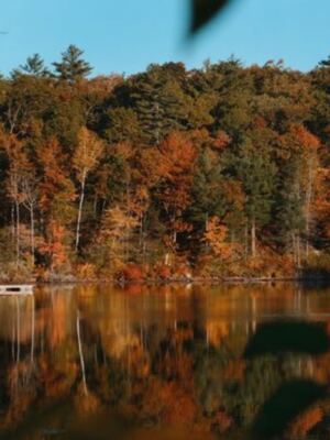 A 140-Year-Old Mystery Awaits At The End Of This Massachusetts Fall Trail