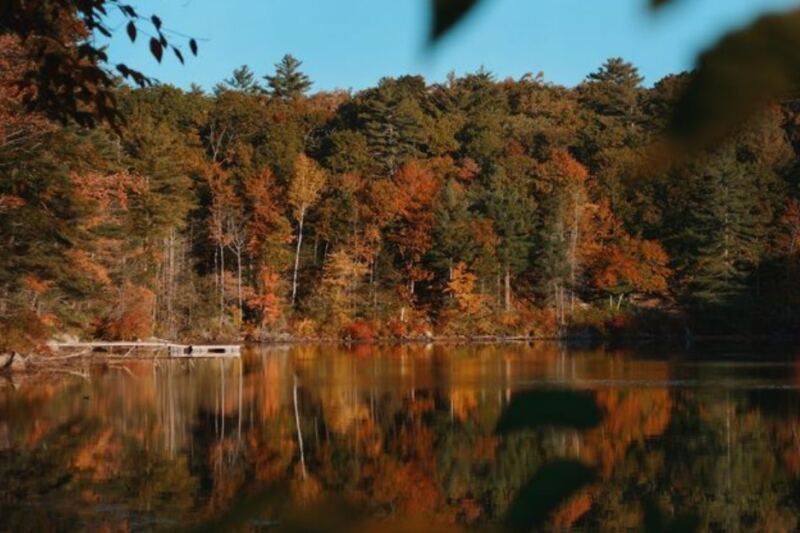 A 140-Year-Old Mystery Awaits At The End Of This Massachusetts Fall Trail