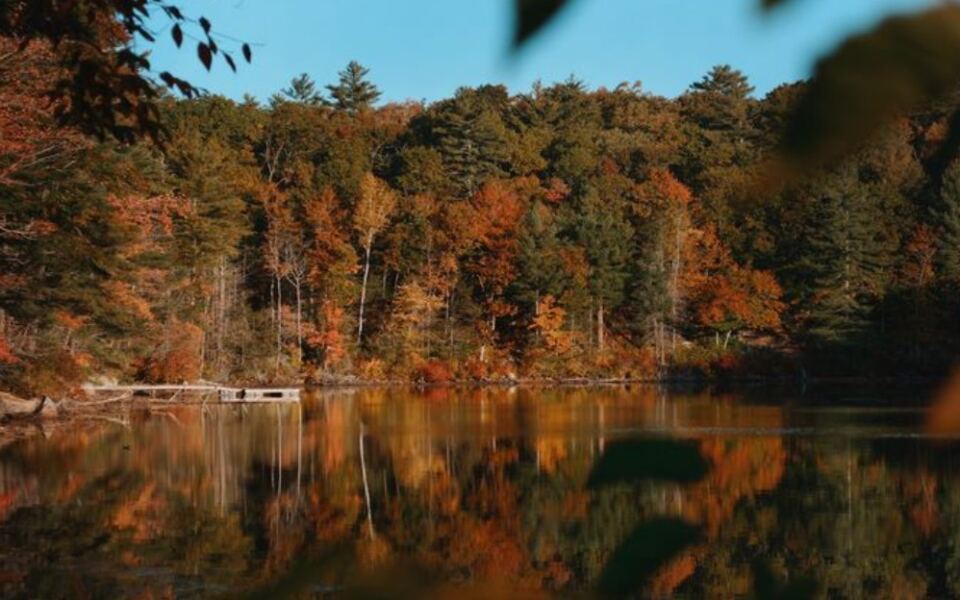 A 140-Year-Old Mystery Awaits At The End Of This Massachusetts Fall Trail