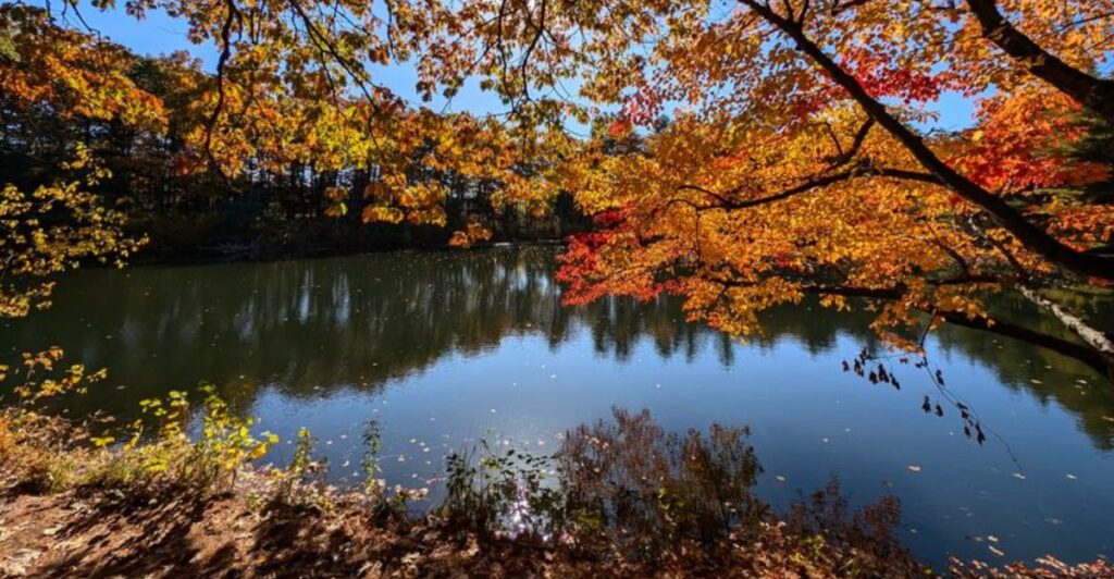 A Century Of Railroad History Follows You Along This 11-Mile Massachusetts Paved Trail