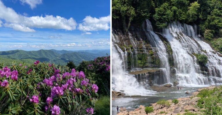 A Cooler And A Tank Of Gas Unlock These 10 Low-Cost Tennessee Day Trips