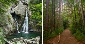 A National Park Feeling Could Be Closer To Home At These 11 Massachusetts State Parks