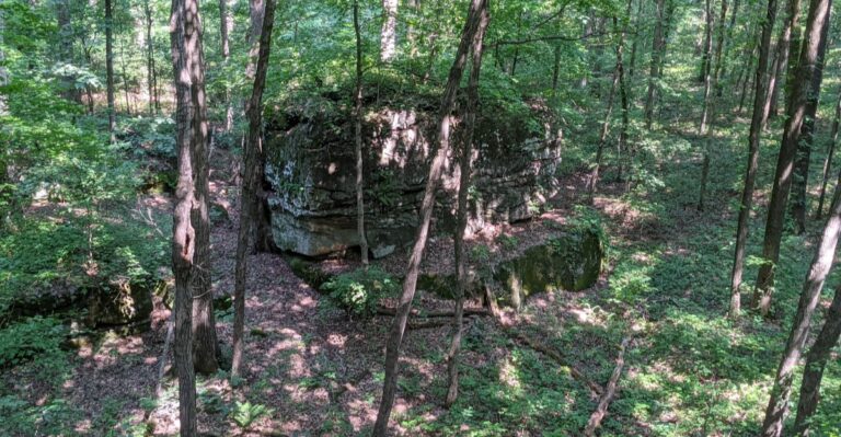 A Short Bluff Climb in Southern Illinois Leads to 1,000-Year-Old Rock Carvings