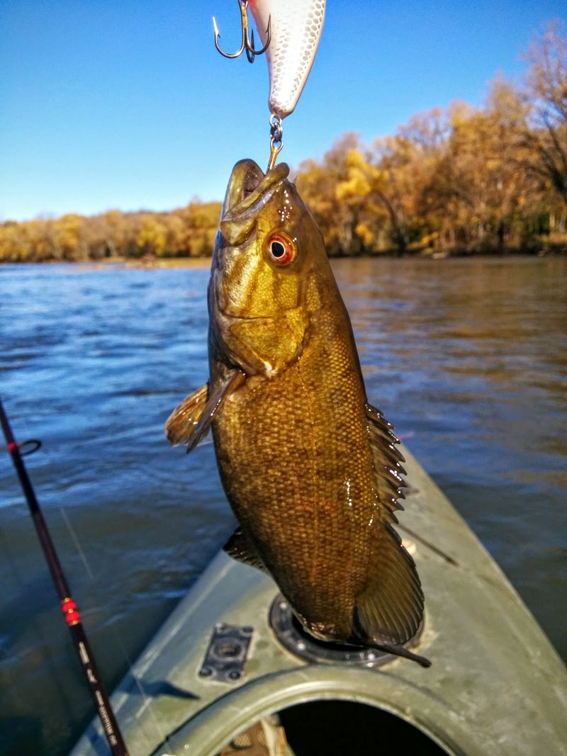 Cast a Line Where Smallmouth Bass Like to Hang Out Cast a Line Where Smallmouth Bass Like to Hang Out
