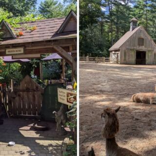 Animal Lovers Have A Good Reason To Visit This Massachusetts Sanctuary
