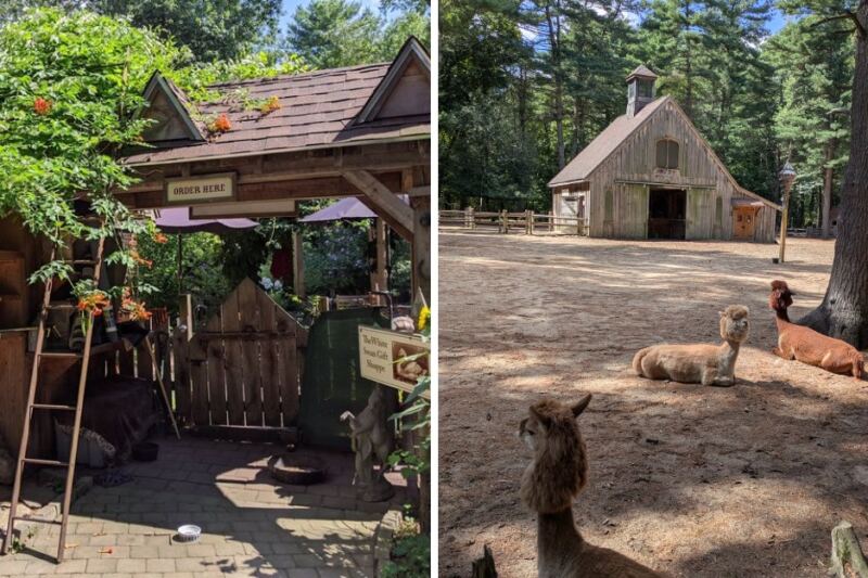 Animal Lovers Have A Good Reason To Visit This Massachusetts Sanctuary