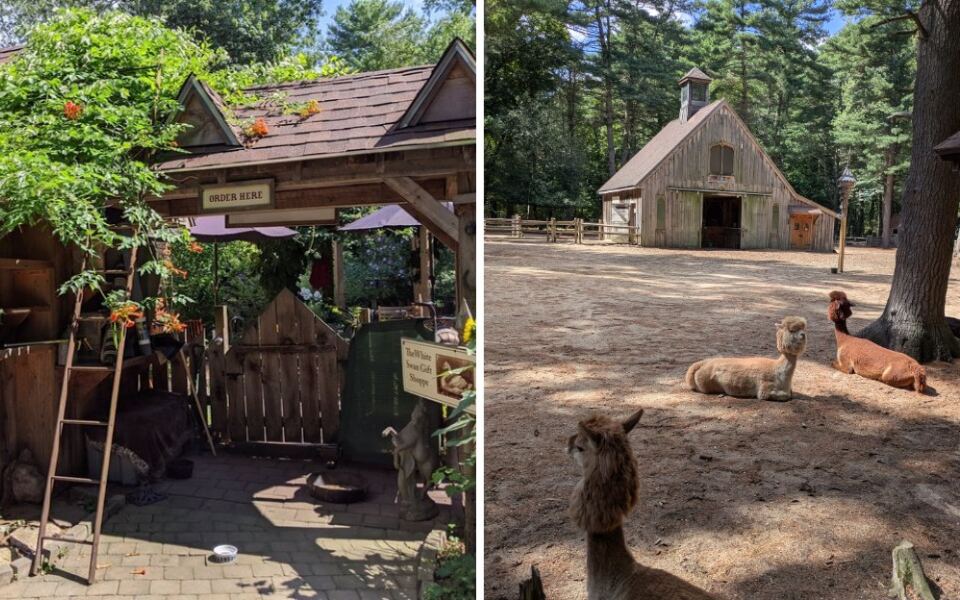 Animal Lovers Have A Good Reason To Visit This Massachusetts Sanctuary