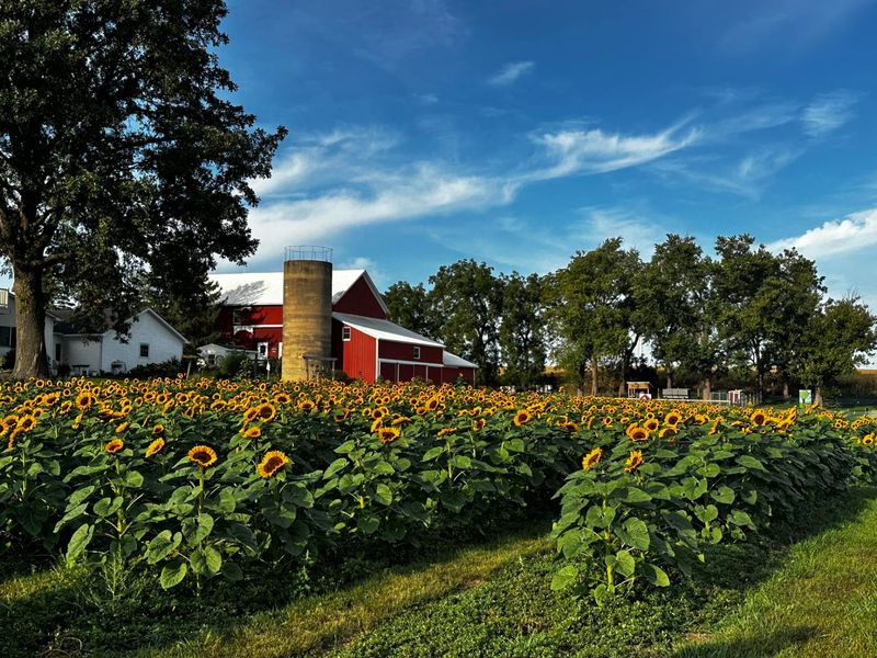 Plan Your Drive To This Peaceful Patch Of Farm Country Plan Your Drive To This Peaceful Patch Of Farm Country