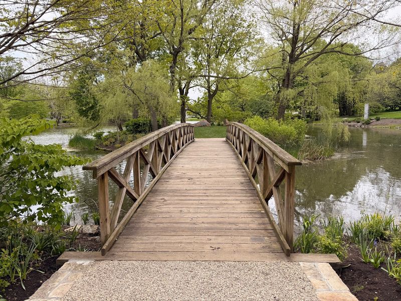 Tree Lovers Might Never Want To Leave Tree Lovers Might Never Want To Leave