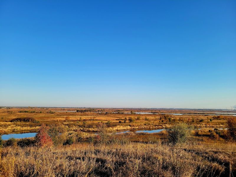 Goose Lake Prairie State Natural Area, Morris, IL