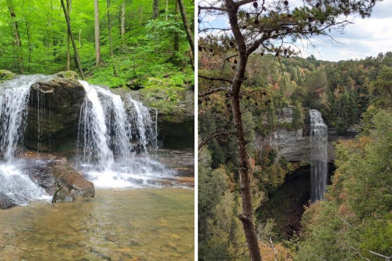 Cooler Weather Does Not End Tick Season In These 9 Tennessee Hiking Areas