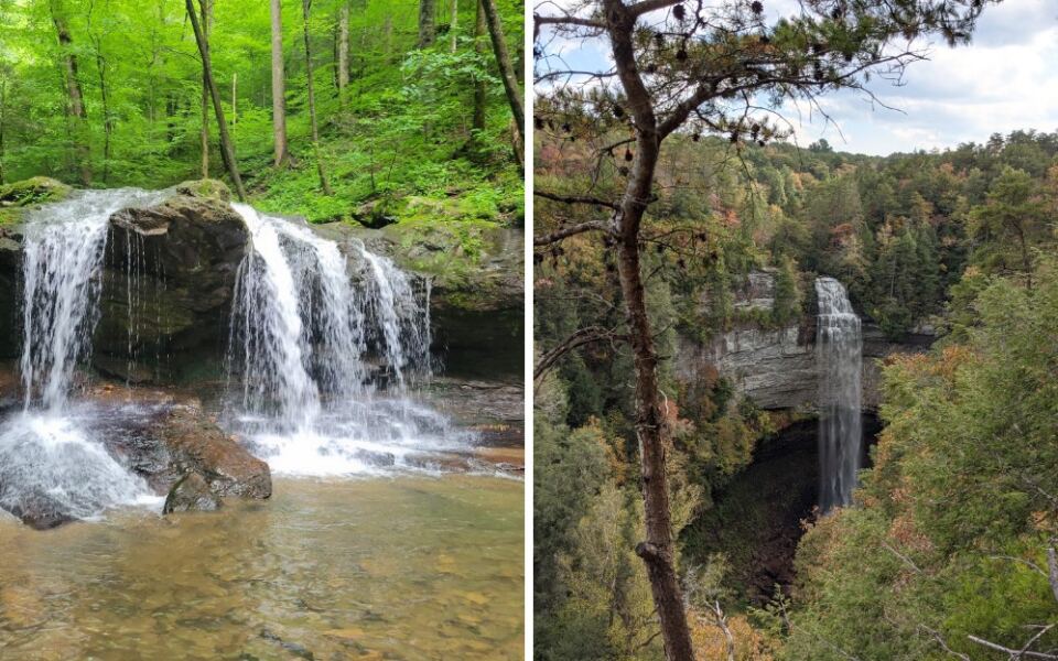 Cooler Weather Does Not End Tick Season In These 9 Tennessee Hiking Areas