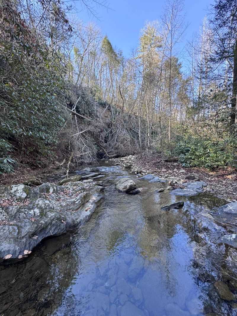 Wake Up Beside A Peaceful Woodland Stream Wake Up Beside A Peaceful Woodland Stream