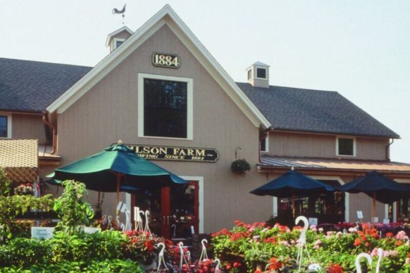 Dinner Plans Get More Interesting The Moment You Enter These 12 Massachusetts Markets