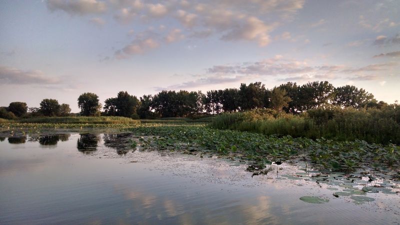 Banner Marsh State Fish and Wildlife Area (Near Banner) Banner Marsh State Fish and Wildlife Area (Near Banner)