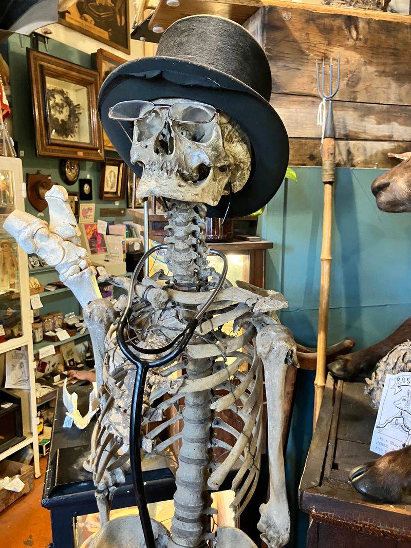 Spooky Dinners And Ghost Tours Take The Fun After Dark