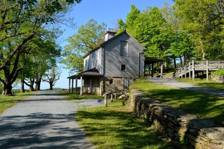 This 2-Hour Horse-Drawn Carriage Ride Is North Carolina’s Most Relaxing Way To Climb A Mountain