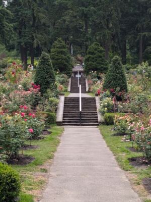 This Oregon Rose Garden Has Been Blooming Since 1917 With Over 2,000 Roses in One Place