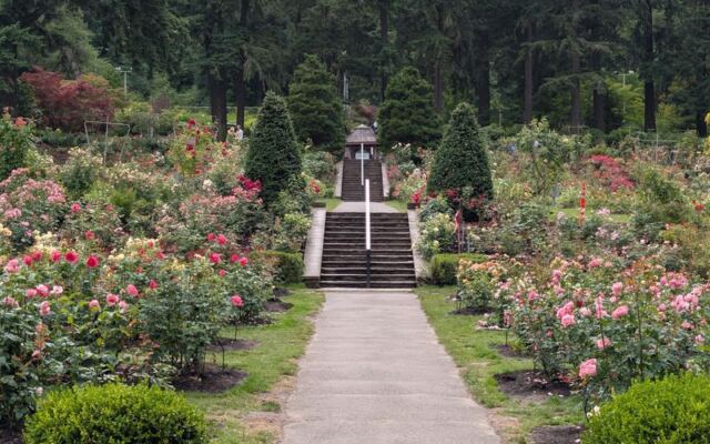 This Oregon Rose Garden Has Been Blooming Since 1917 With Over 2,000 Roses in One Place