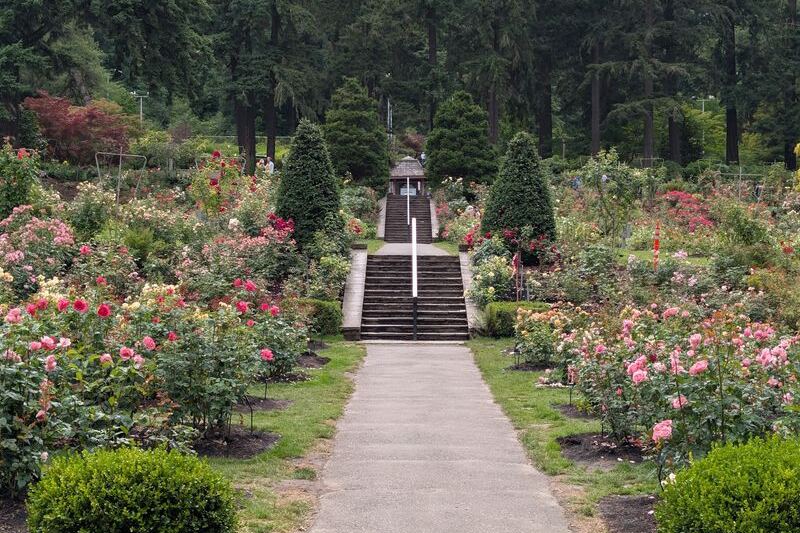 This Oregon Rose Garden Has Been Blooming Since 1917 With Over 2,000 Roses in One Place